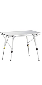 Aluminum folding table