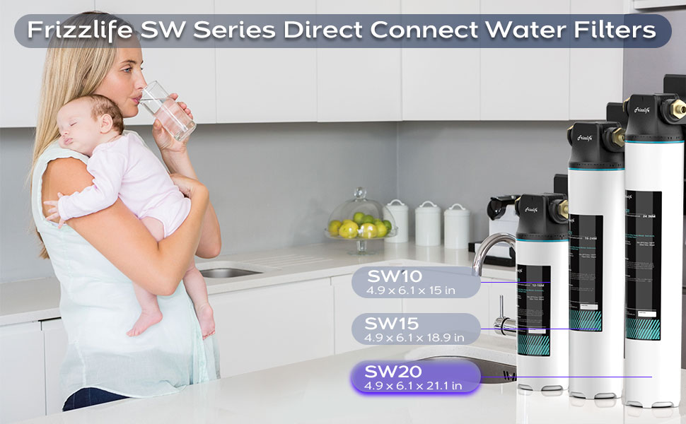 frizzlife sw20 water filter