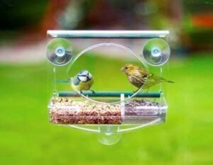 Lou's Nature Store - Window Feede