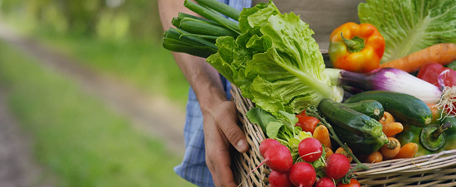 Harvesting Vegetables