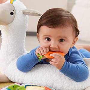 GLK39 - GWM TUMMY TIME LLAMA