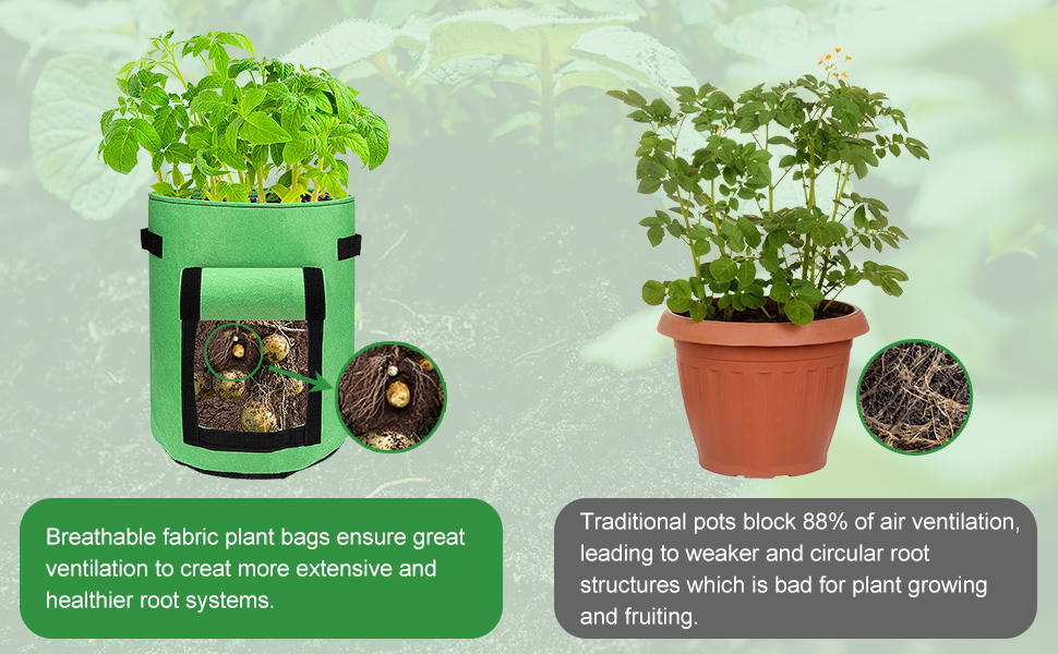 Potato Bags