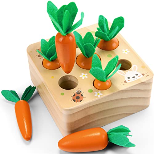 Wooden Toys for Baby 12 Months Plus