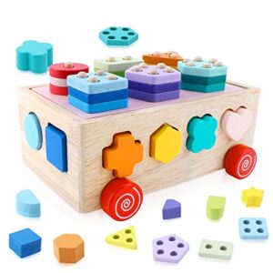icyant Montessori Toy for Toddlers