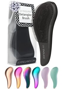 Detangle Hair Brush for Curly Hair