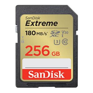 SanDisk 256GB Extreme SDXC card + RescuePro Deluxe