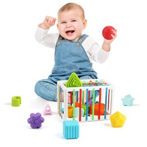 jenilily Baby Shape Sorting Toy