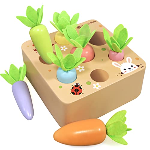 KMTJT Montessori Toys for 1 2 3 Year Old Toddlers