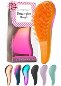 Detangle Hair Brush for Curly Hair