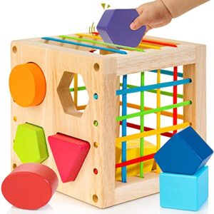 Winique Wooden Shape Sorter Cube