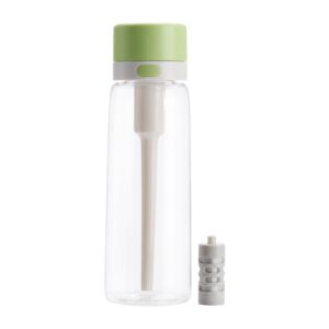 Amazon Basics Water Filter Bottle