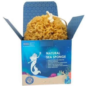 Jordan Benedict Natural Sea Sponge - Natural Sea Sponge for Bath and Shower for Adults