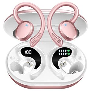 Rulefiss Wireless Earbuds