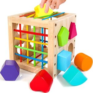 Wooden Shape Sorter Cube
