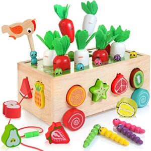 Montessori Toy 5-in-1