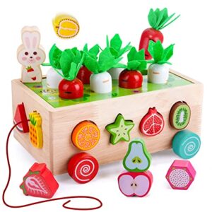 Montessori Wooden Toys for 1 2 3 Year Old