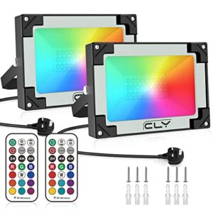 CLV 2 Pack 25W LED RGB Floodlight