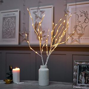 SA Products LED Twig Lights - Decorative Lights with 60 LEDs
