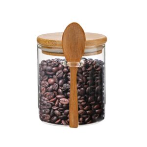 Glass Jars with Airtight Lid and Spoon