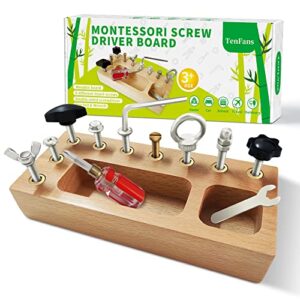 Montessori Toys for 3 4 5 year old