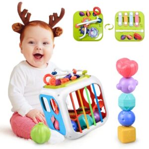Kizmyee Montessori Toy for Toddler