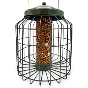 Seed Feeder