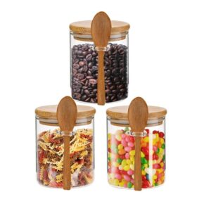 Glass Jars with Airtight Lid and Spoon