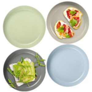 BeautySun Premium Dinner Plates Sets