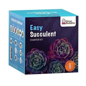 Grow Your Own Succulent kit – Easily Grow 6 Beautiful Varieties of Succulent Plants Live with Our Complete Beginner Friendly Indoor Succulent House Plant Starter kit – Unique Men Women Gifts