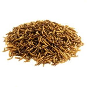 * New * 5L Bag Premium Dried Mealworms Wild Bird Food LGW (Approx weight 800g - 5 litre)