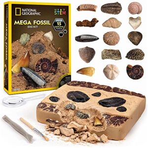 National Geographic Mega Fossil Dig Kit – Excavate 15 Real Fossils Including Dinosaur Bones