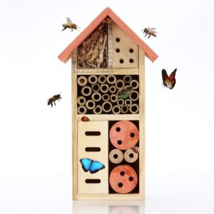 Buddy Wild Insect Bee House - 13x8.5x26cm - Eco-Friendly Bug Hotel for Bees Butterflies Insects in Garden - Kid Friendly Weather Resistant Hanging Bee Home from Natural Wood