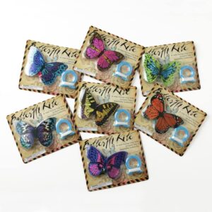 Mini Butterfly Childrens Kite Assorted Colou