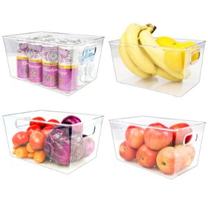 4 Pack Puricon Clear Storage Bins