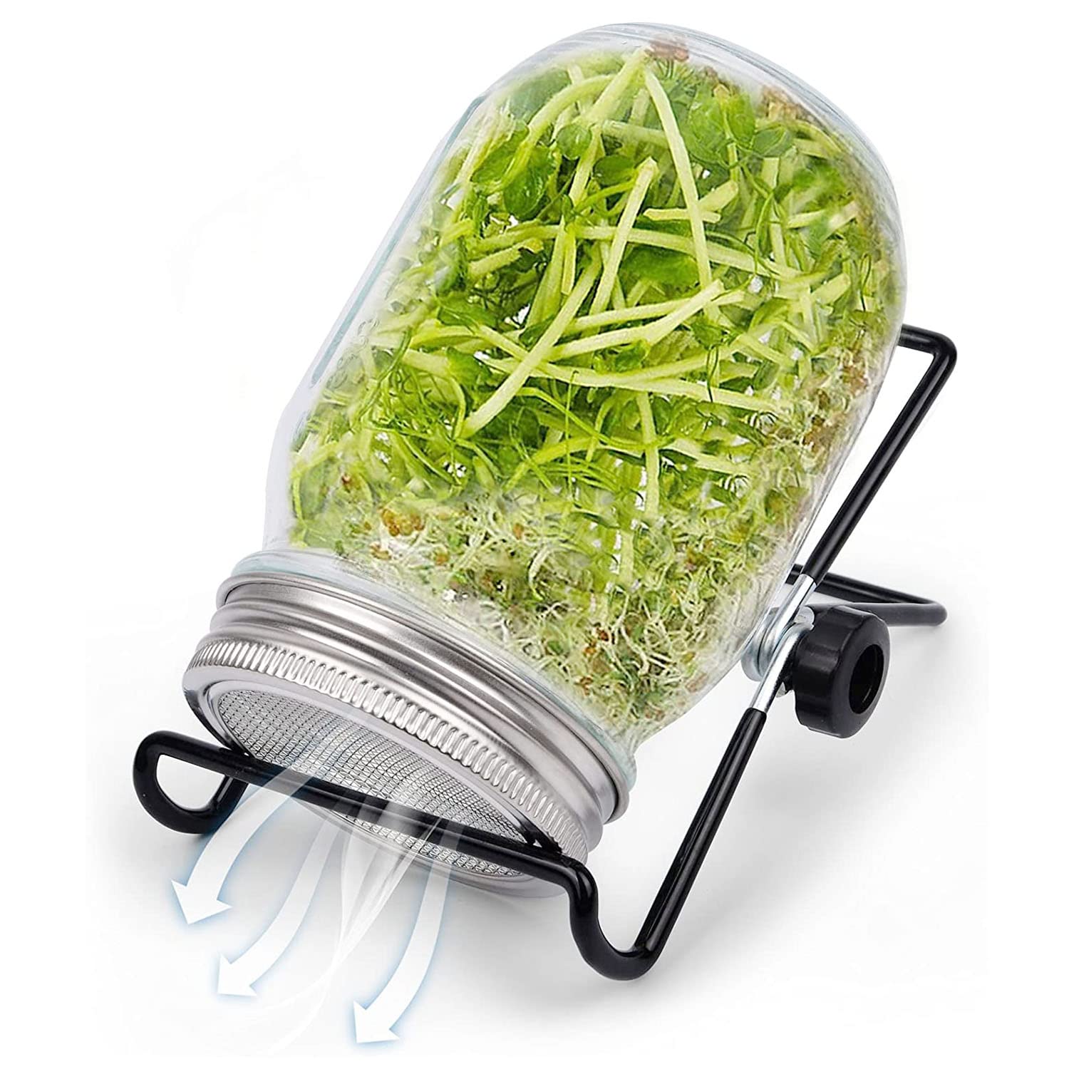 Seed Sprouter Kit Sprouting Mason Jars with Stainless Steel Strainer Lids