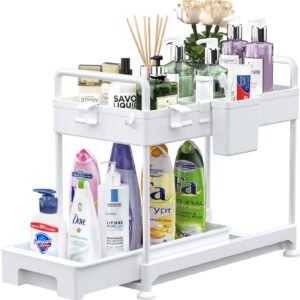 SOLEJAZZ 2-Tier Under Sink Organizer