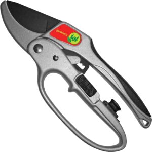 Secateurs