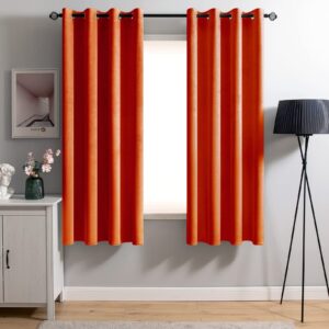 MIULEE Velvet Curtains Blackout Thermal Insulated drop Curtain Pair Eyelet Room Darkening Drapes for Living Room Kids Bedroom Nursery 55" W x 57" L 140x145 CM 2 Panels Carro