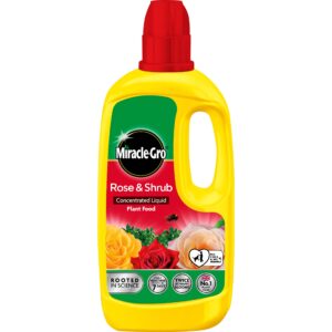 Miracle-Gro Rose & Shrub Concentrated Plant Food