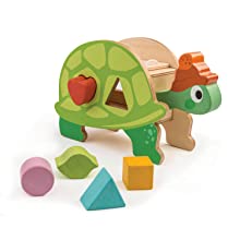 Tortoise Shape sorter cognitive social development motor skills animals fun green wooden play