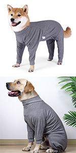gray dog pajama