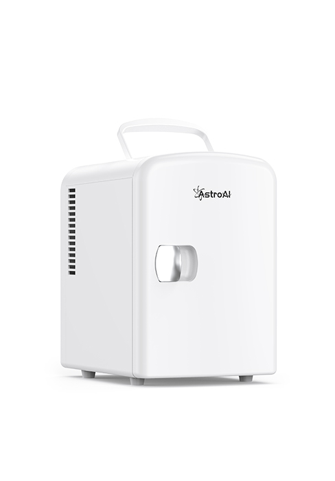 mini fridge 4l white