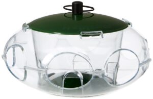 Peckish 60053061 Bird Seed Feeder for Small Birds