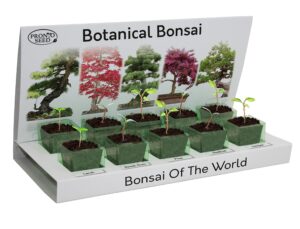 Pronto Seed Grow Your Own Bonsai Tree - Indoor Plant Kit - Eco-Friendly - 5 Seed Varieties - with Sustainable Packaging - Gardening Gifts for Men and Women - Beginner Friendly