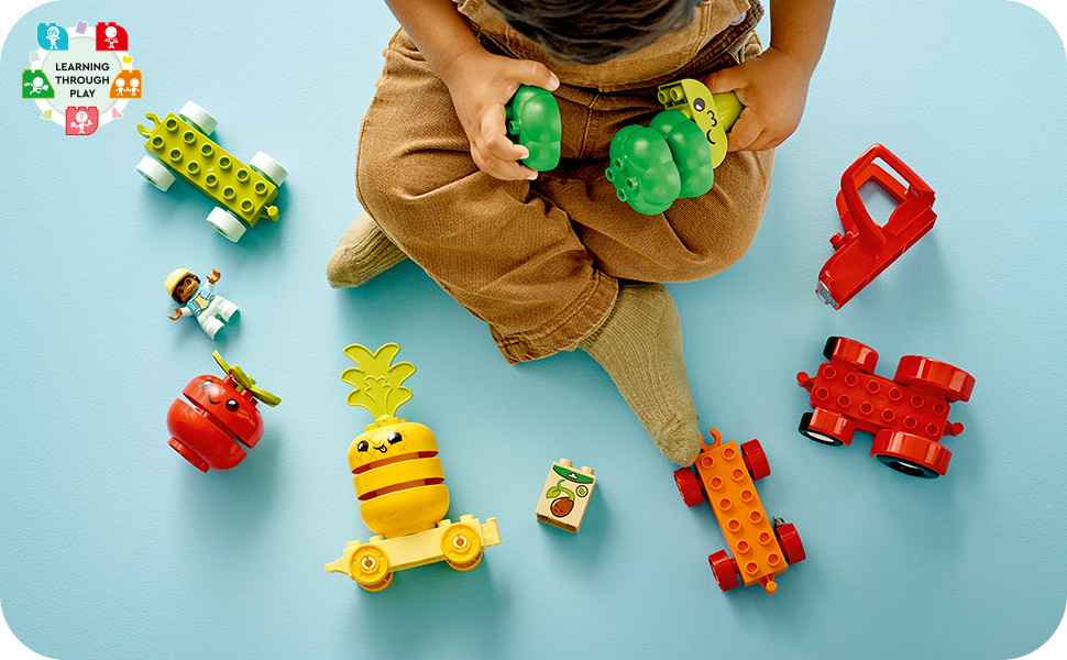 10982_DUPLO