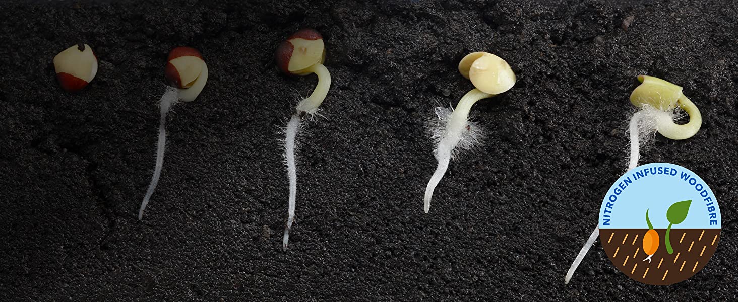 Phosphate formula encourages root growth