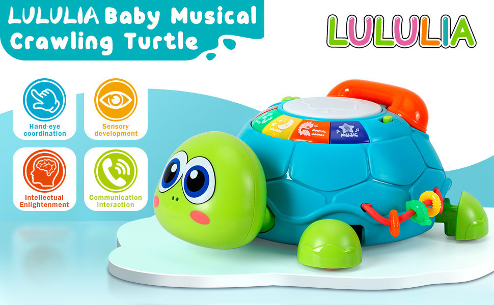 Musical Crawling Turtle Toys