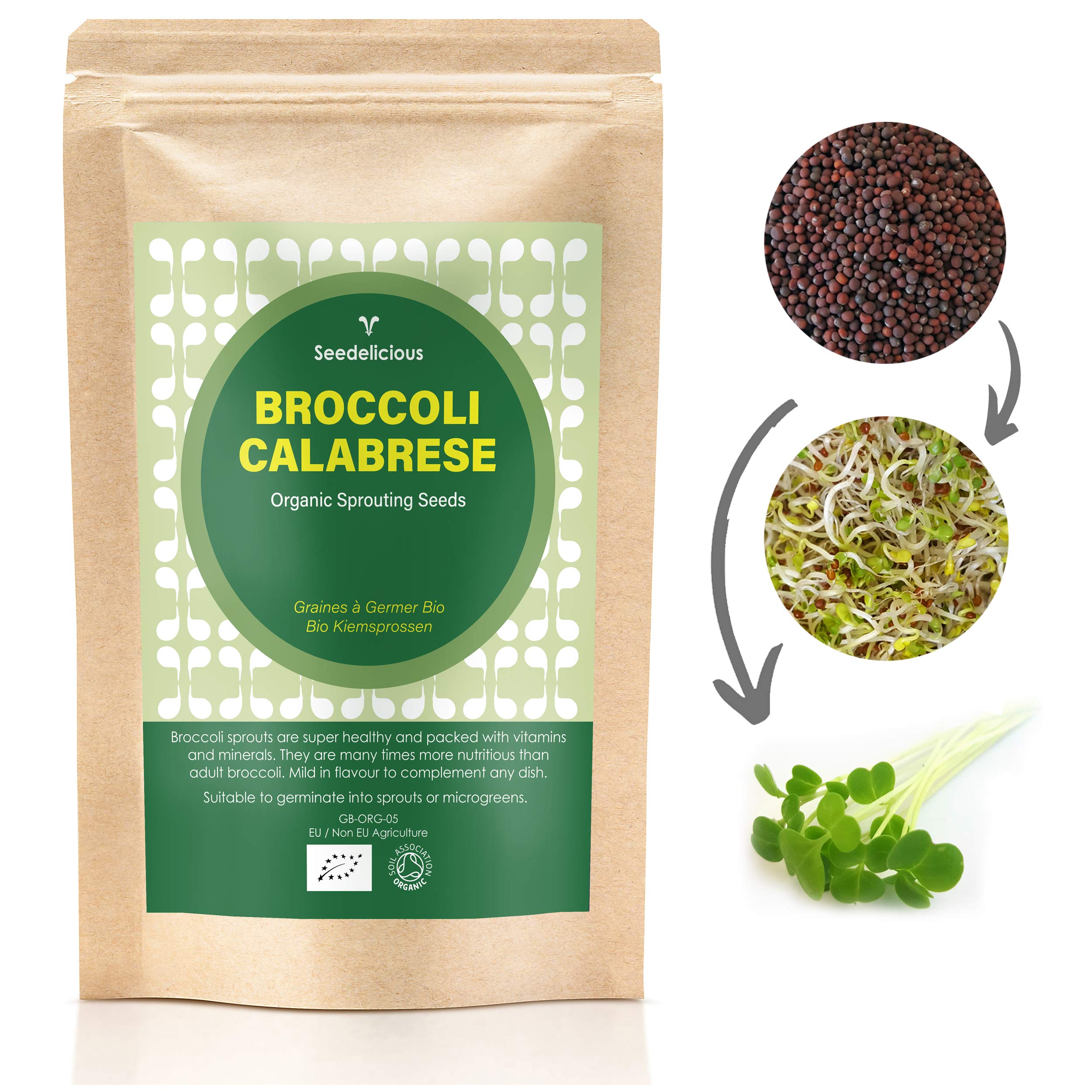Organic BROCCOLI CALABRESE Sprouting Seeds 250g/500g/1kg by Verdant Republic | High Sulforaphane Content | Non-GMO | Easy to Sprout in 5 Days| High Germination into Microgreens in 10 days (250g)