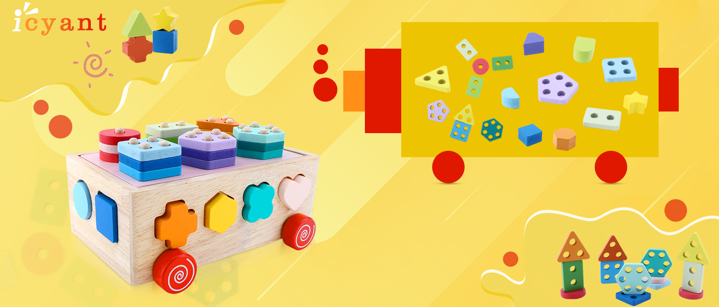 Montessori Toy for Toddlers