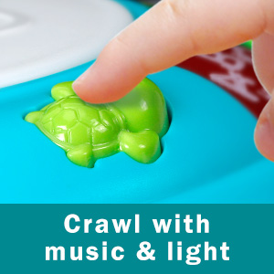 Musical Crawling Turtle Toys